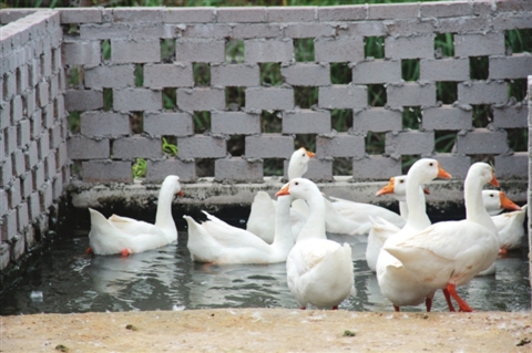 蔚来百度再携手,“一键加电”正式接入百度地图|星空官网(图2) 星空官网