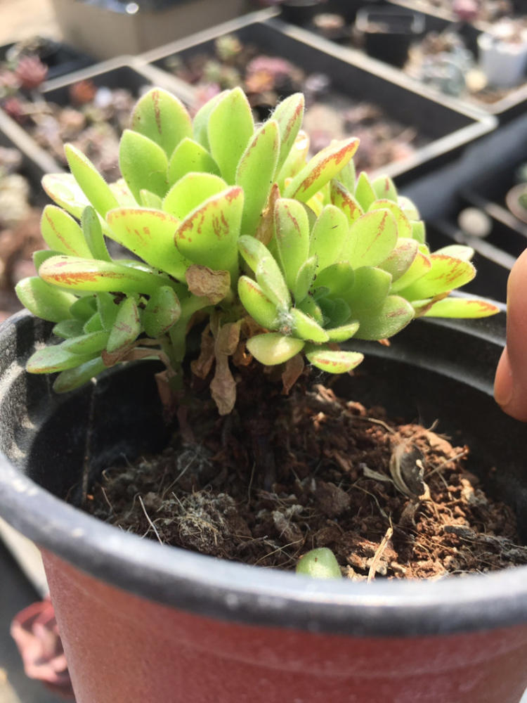 蔚来百度再携手,“一键加电”正式接入百度地图|星空官网(图1) 星空官网