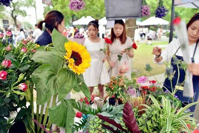 星空官网|GDC 2018获奖名单公布 年度最佳《塞尔达:荒野之息》(图4) 星空官网