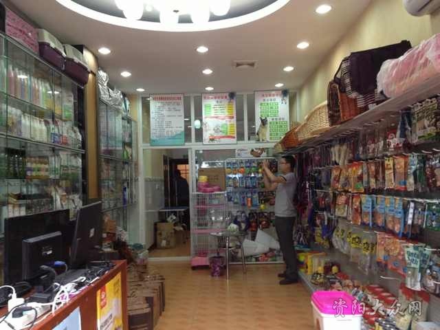 星空官网:育碧反恶意收购续命成功 伊夫继续连任育碧CEO(图3) 星空官网