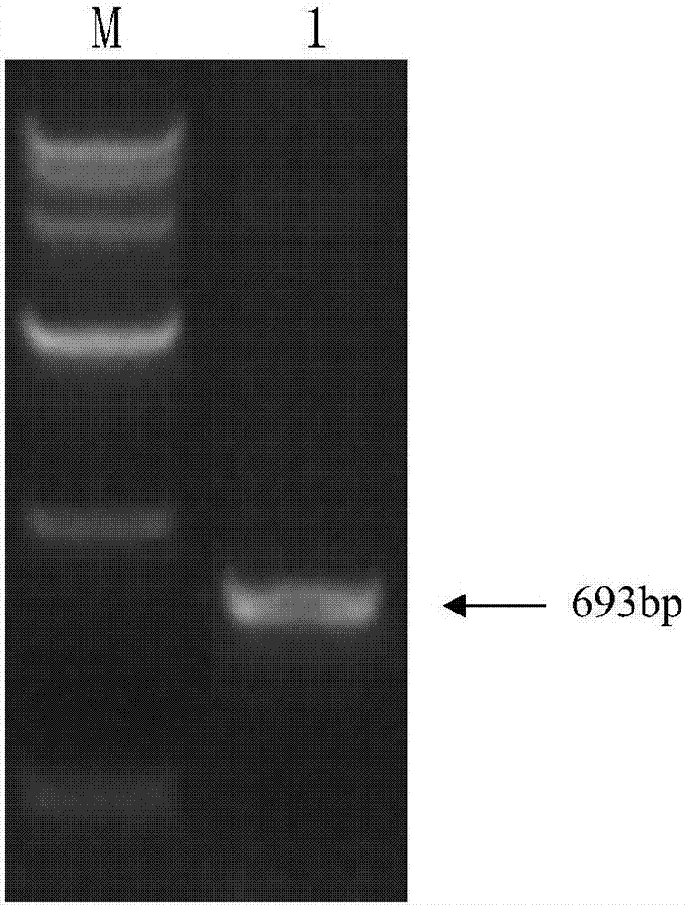 星空官网-直面世界终焉!像素风新游《无限空间》上架steam(图1) 星空官网